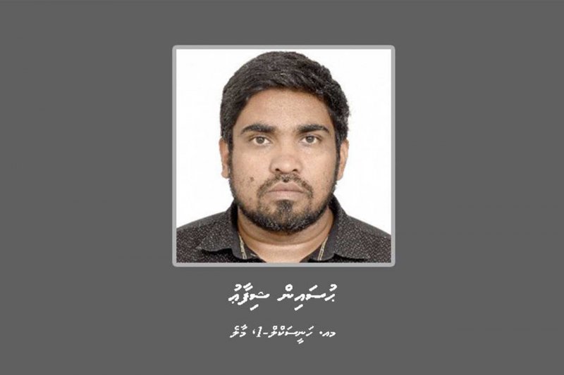 article_image