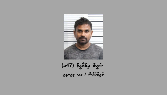 article_image