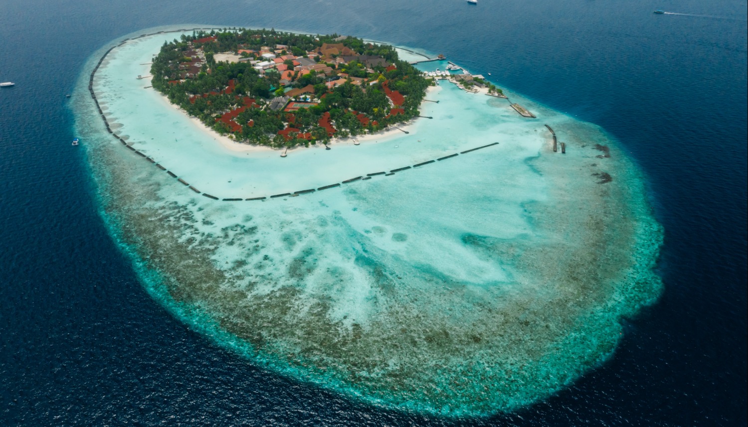 article_image
