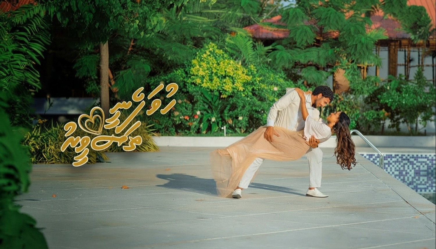 article_image
